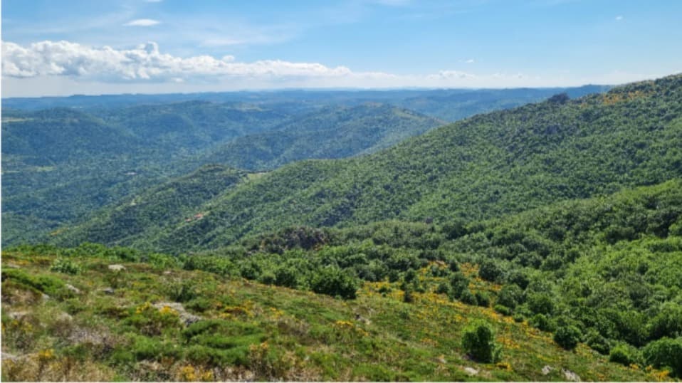 Collines et vallons du Pays Basque sur le chemin