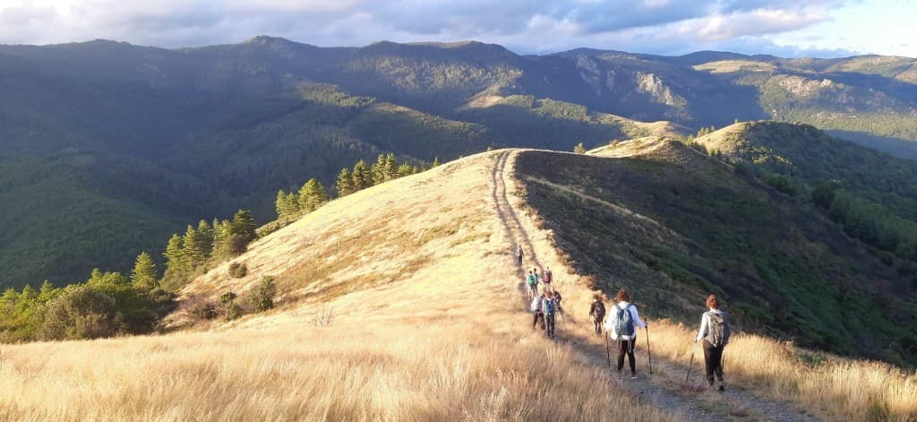 Compostelle Pays Basque — Navarrenx à Roncevaux (22–29 août 2026)