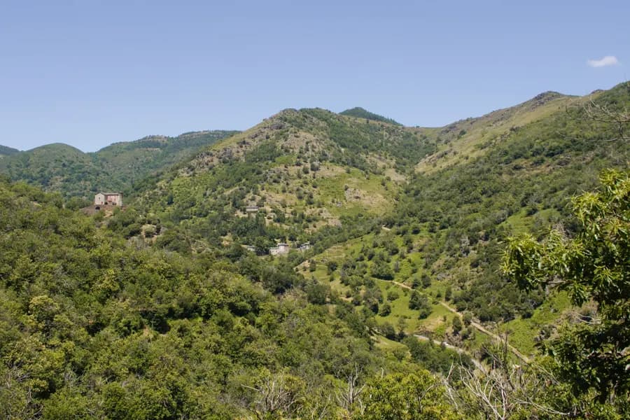 Cévennes méridionales et pays viganais